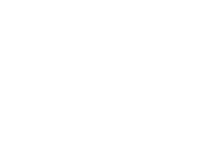Logo Blanc